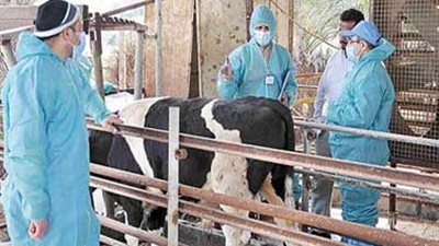 الخدمات البيطرية تستحدث 