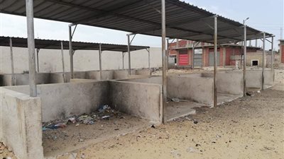 مواطن لمحافظ شمال سيناء: «عايزين سوق لبيع الأسماك» (فيديو)