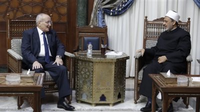 شيخ الأزهر يقدر دور 