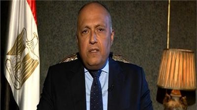 مؤتمر صحفي لشكري وأمين الأمم المتحدة بقصر الاتحادية