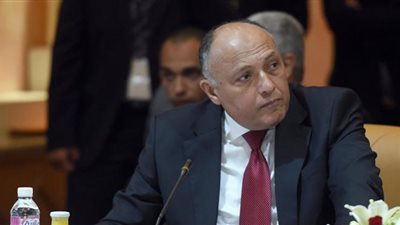 شكري يستعرض مباحثات السيسي وأمين الأمم المتحدة