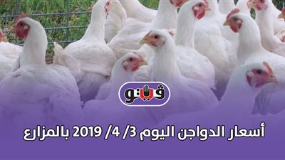 أسعار الدواجن اليوم 3/ 4/ 2019 بالمزارع