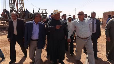 زراعة 4800 نخلة و40 صوبة زراعية بالوادى الجديد