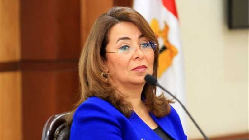  غادة والي، وزيرة
