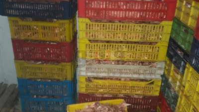 ضبط مصنع لفرم الدواجن و1.5 طن كوارع فاسدة في الجيزة (صور)