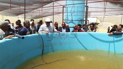 تدشين مشروع استزراع سمكي وقرية فوق الكثبان الرملية بالوادى الجديد