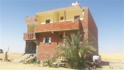 أزمات سكان «صحراء الوادي الجديد».. خلافات مجالس الإدارة تحرمهم من الخدمات.. والمحافظة تؤكد «مش مسئوليتنا».. مخالفة القانون والبناء دون تصريح «حل مؤقت».. وبيع الأراضي سينا