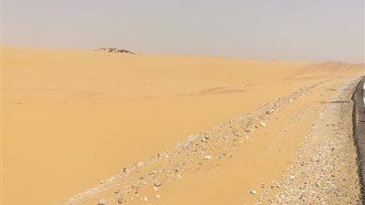 تخفيض 75% للمشروعات المقامة على الغرود الرملية في الوادي الجديد