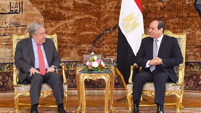 يوم رئاسي حافل.. السيسي يلتقي أمين عام الأمم المتحدة.. يستعرض رؤية مصر في مكافحة الإرهاب.. يؤكد ثوابت السياسة المصرية تجاه أزمات الشرق الأوسط.. و9 تكليفات لوزيري الكهرباء والاتصالات