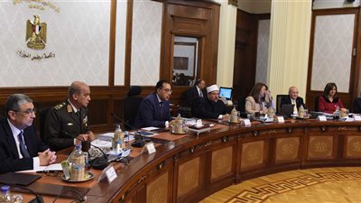 الحكومة تبدأ تفعيل قرارات السيسي.. والي: زيادة المعاشات حماية من التضخم.. معيط: حافز شهري لموظفي الدولة بقيمة١٥٠جنيها أول يوليو.. الشيخ: حق الموظف في الترقية محفوظ