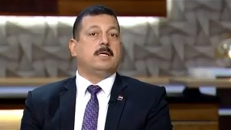  الدكتور أيمن حمزة،
