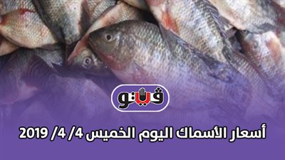 أسعار الأسماك اليوم الخميس 4/ 4/ 2019