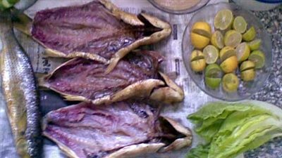 8 نصائح من «بيطري القاهرة» لتناول الأسماك المملحة في شم النسيم