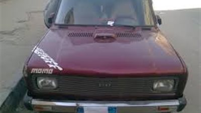 استقرار أسعار سيارات 