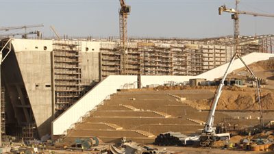 منظمة العمل الدولية تهدي مصر 100 شجرة لزرعها بالمتحف المصري الكبير