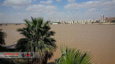 أستاذ بيولوجيا مياه: عكارة النيل 