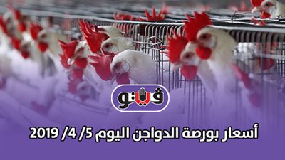 أسعار بورصة الدواجن اليوم 5 /4 / 2019