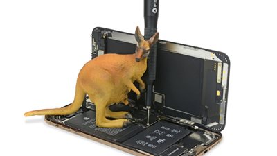 شباب يحتالون على 