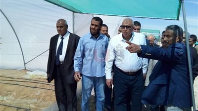 محافظ الوادي الجديد: دعم مشروعات الصوب الزراعية بالأسمدة