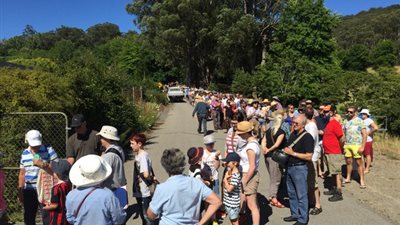 بالفيديو والصور.. «زهرة الجثة» تعاود الظهور في أستراليا بعد 10 سنوات