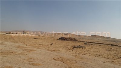 بالصور.. مافيا الأراضي تستولي على 100 فدان بزمام «قلمشاه» بالفيوم