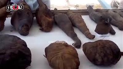 تفاصيل اكتشاف مقبرة «توتو» وزوجته بمنطقة آثار الديابات بسوهاج