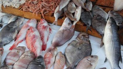 بعد ارتفاع أسعار الأسماك.. غرفة القاهرة تطالب بفرض رسوم على الصادرات.. تدعو «التجارة والصناعة» لحل الأزمة.. و«حماية المستهلك»: التحرك قبل شم النسيم وحلول رمضان «ضرورة»