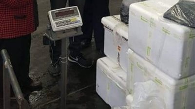 ضبط٣٠ كيلو شعب مرجانية قبل تهريبها إلى الإمارات بمطار القاهرة