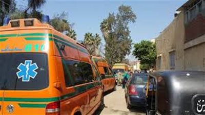 النيابة تستعلم عن حالة الأطفال اليتامى المصابين بانقلاب سيارة في البدرشين