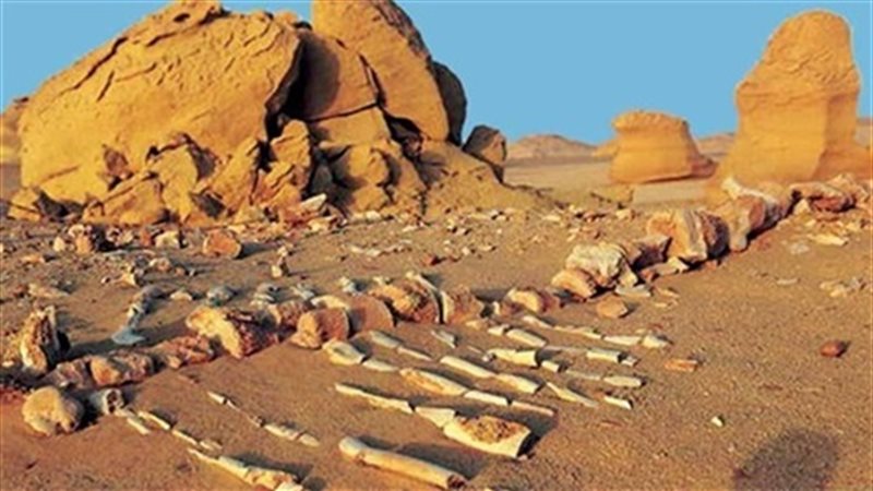 صورة ارشيفية