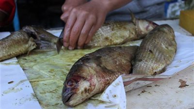 «الغرفة التجارية»: 20% زيادة في أسعار الفسيخ مع اقتراب شم النسيم