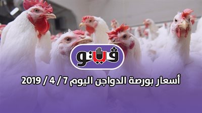 أسعار بورصة الدواجن اليوم 7 / 4 / 2019