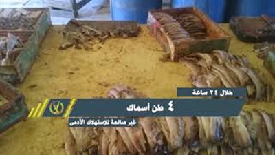 ضبط صاحب شركة نصب على المواطنين فى 30 مليون بالإسماعيلية (فيديو)