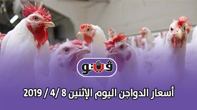 أسعار الدواجن اليوم الإثنين 8 /4 / 2019