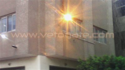 بالصور.. إضاءة كشافات الإنارة نهارًا بديوان محافظة الشرقية