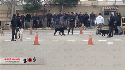 عمال «كارجيل مصر» يستغيثون بالشركة العالمية بعد اعتصامهم 4 أشهر