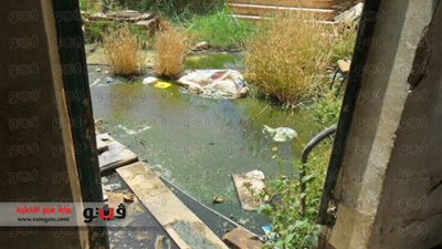 بالصور فنانو البدرشين لـ