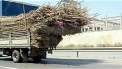 تحرير 2318 قضية ظواهر سلبية بوسائل النقل و3 قضايا مصنفات خلال حملات