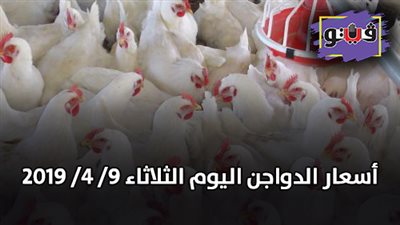 أسعار الدواجن اليوم الثلاثاء 9/ 4/ 2019