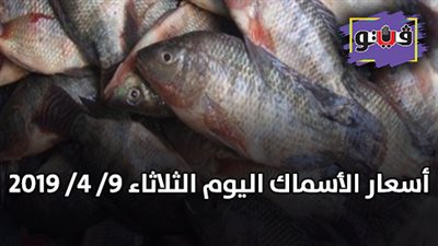 أسعار الأسماك اليوم الثلاثاء 9/ 4/ 2019