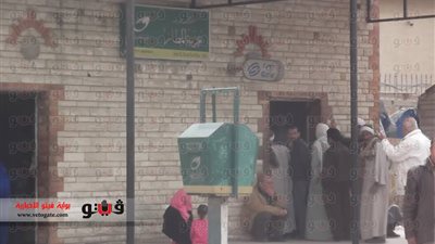 بالصور.. موظفو بريد الإسكندرية يعلنون الإضراب العام عن العمل