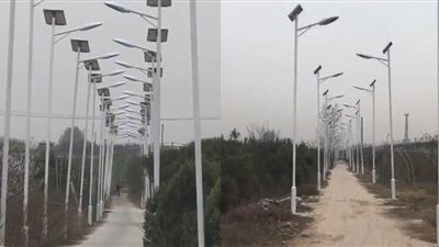 1000 عمود إضاءة تنير طريقا طوله 3 كم فقط والسبب محير (صور)