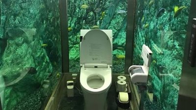 أغرب حمام سيدات وسط حوض مائي مملوء بالأسماك (فيديو وصور)