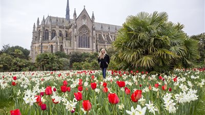 60 ألف زهرة توليب تزين أقدم قلاع بريطانيا (صور)