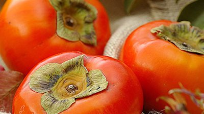 «الكاكا» تحمى من الإصابة بـ 16 مرضًا