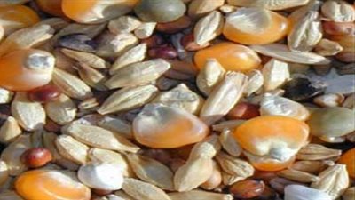 تباين أسعار الأعلاف بالمحافظات.. اليوم