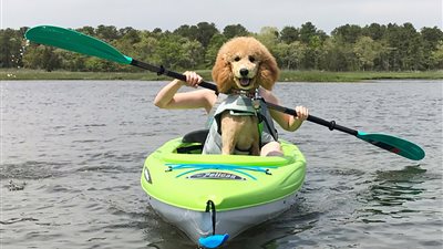 «صيد الكاميرا».. لقطات اللحظة المناسبة (صور)