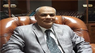 عميد الدراسات الأفريقية بجامعة القاهرة: الدستور اتعدل في فرنسا 24 مرة