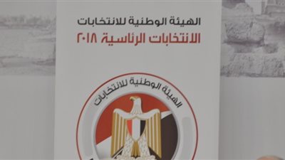 «الوطنية للانتخابات»: 4228 كودا للصحف والفضائيات لمتابعة الاستفتاء