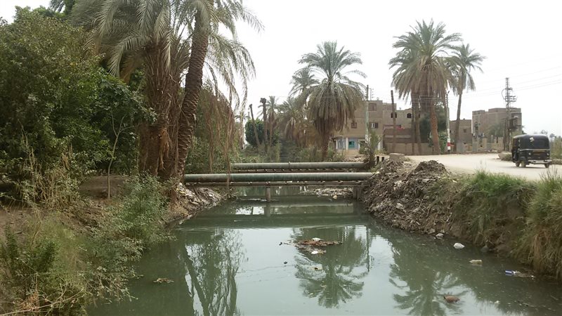 فيتو